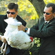 Secret Service agents subdue Wattle.